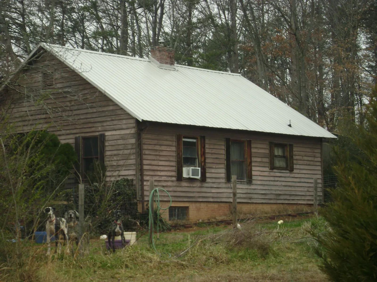 White metal roof on an old wood sided farmhouse, from a Asphalt Shingle Roof Repair job in Leigh